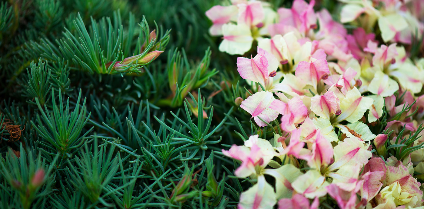 Wreath Flower